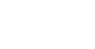 logo stapp